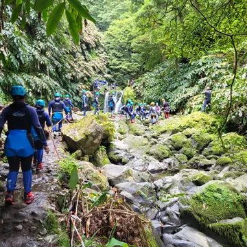 A job that combines your IT-knowledge with logistics